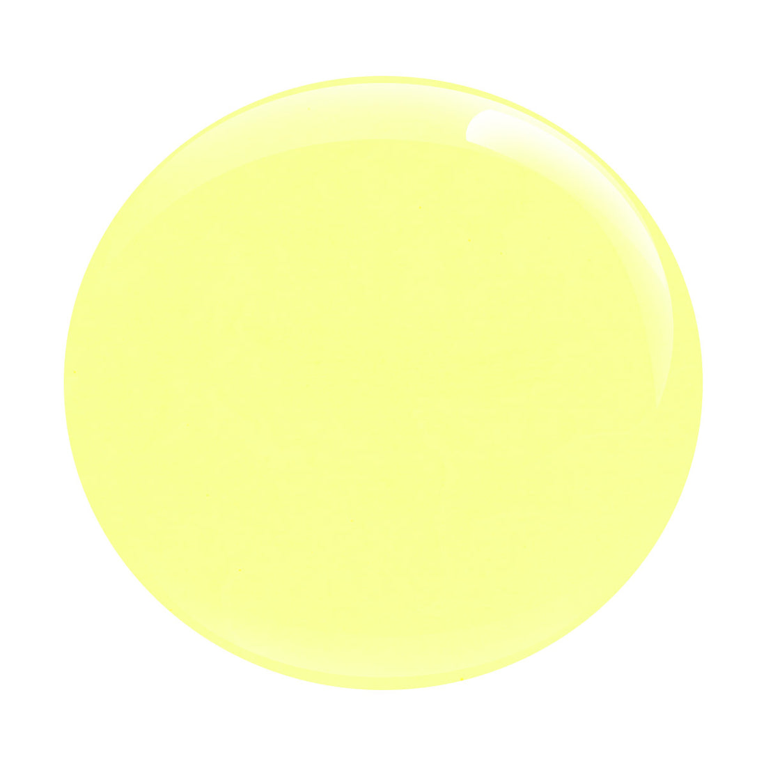 Sunshine Day